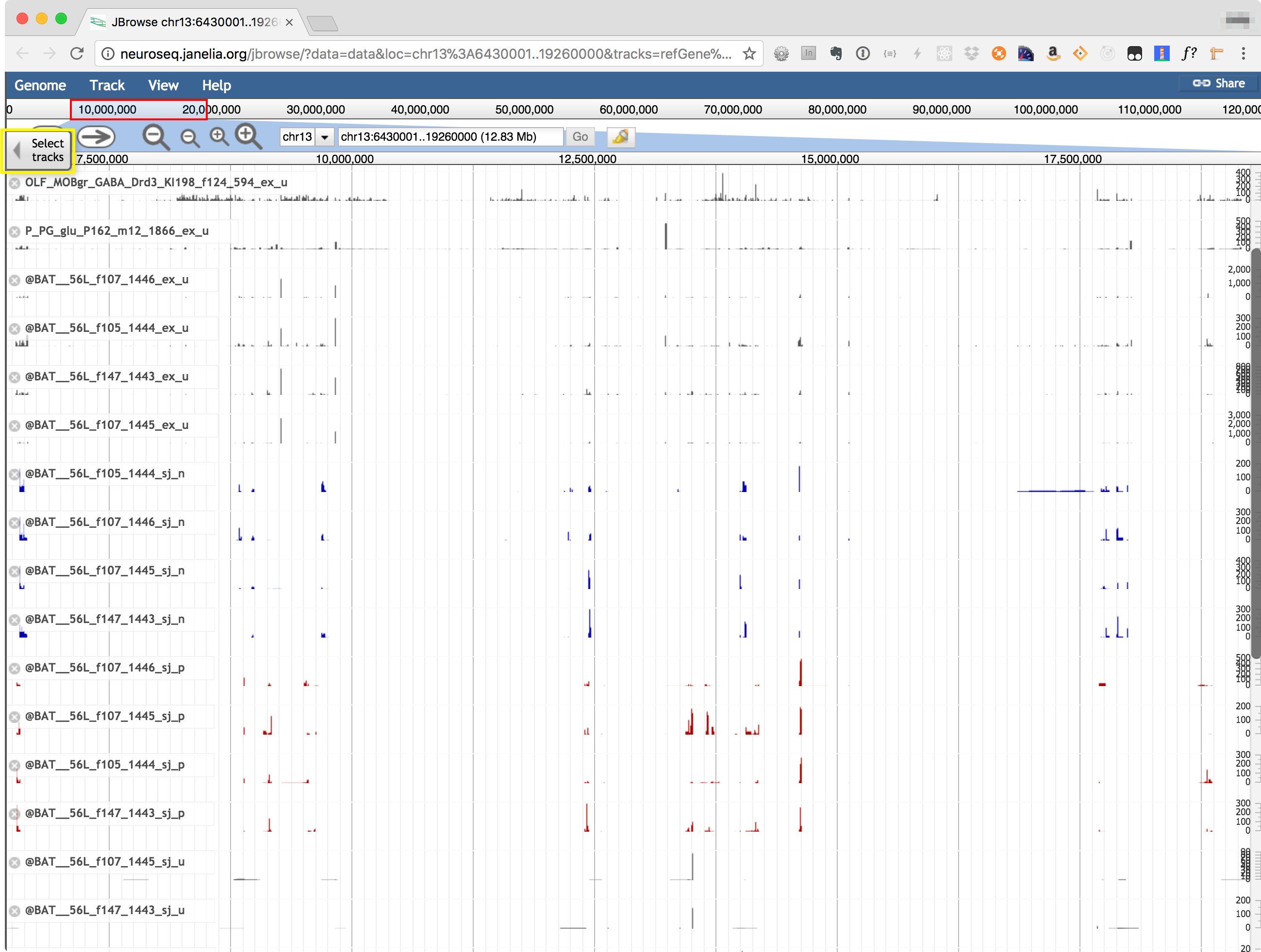 Genome browser screenshot